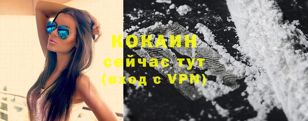 дживик Володарск