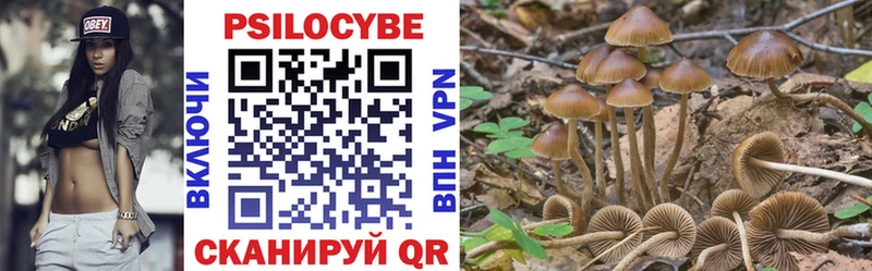 Купить закладки Миньяр Галлюциногенные грибы мицелий
