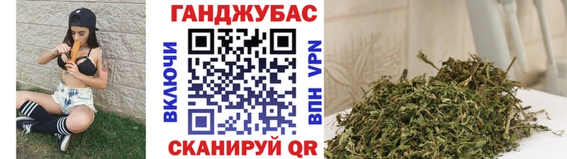 Купить где  Миньяр  Конопля сатива 